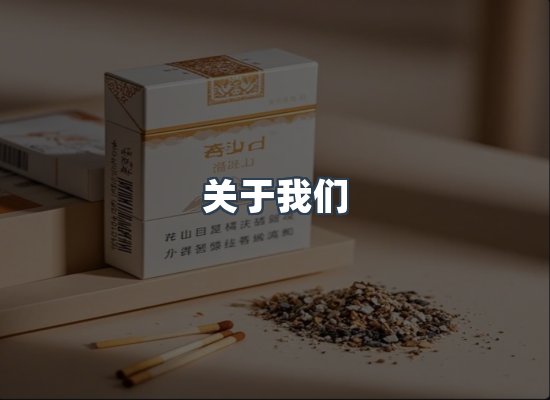 关于我们